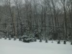 0328151126.jpg 0328151126.jpg