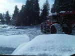 IMG-20160117-02058.jpg