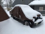IMG_6155.jpg
