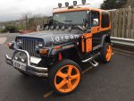 yj.JPG