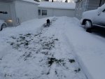 20161215_090140.jpg 20161215_090140.jpg