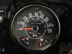 Painted Speedo.jpg