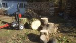 20181111_120758_resized.jpg