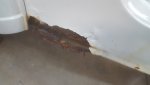 20190113_165042_resized.jpg