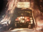 IMG-20121214-00340.jpg