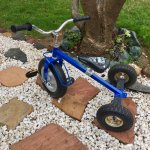 tricycle2.jpg