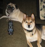New Image.JPG