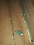 20200307_120644.jpg