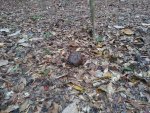 20200915_100303.jpg