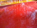 20201121_103437.jpg 20201121_103437.jpg