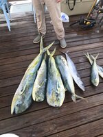 IMG_5318.jpg