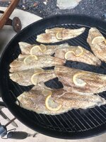 IMG_6296.jpg IMG_6296.jpg