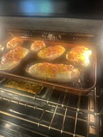 IMG_2378.jpeg IMG_2378.jpeg