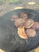 IMG_2381.jpeg IMG_2381.jpeg