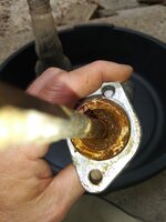 20220605_154110.jpg