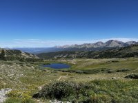 B024F535-46A4-48BF-AF4A-66A554E4D35A.jpeg