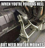 IMG_2504.jpeg