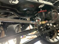 IMG_5261.jpeg IMG_5261.jpeg