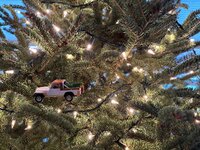 IMG_2089.jpeg