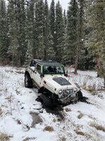 IMG_5295.jpeg