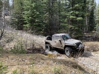 IMG_5397.jpeg