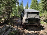 IMG_6381.jpeg