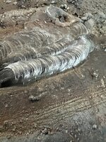 IMG_2355.jpeg
