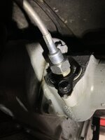 IMG_5621.jpeg IMG_5621.jpeg