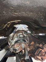 IMG_2601.jpeg