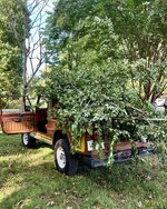 IMG_4755.jpeg