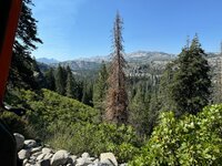 IMG_3180.jpeg IMG_3180.jpeg