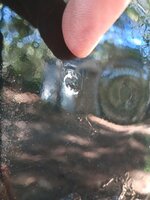 IMG_20240928_095714302.jpg