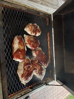IMG_6591.jpeg