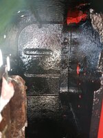 IMG_20241012_113307856.jpg