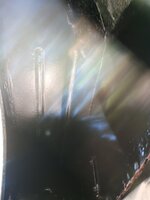 IMG_20241012_120231432.jpg