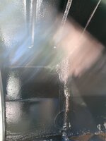 IMG_20241012_120256962.jpg