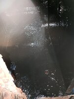 IMG_20241015_073830507.jpg