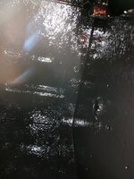 IMG_20241015_073841145.jpg