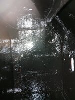 IMG_20241015_073929938.jpg