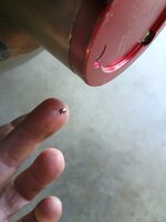 IMG_20241102_122337593~2.jpg