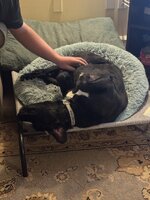 IMG_0332.jpeg