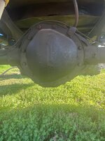 IMG_7925.jpeg