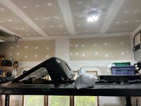 IMG_3194.jpeg