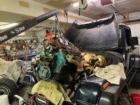 IMG_6572.jpeg