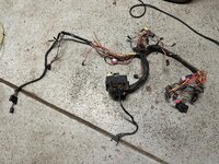 IMG_3090.jpeg