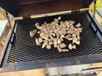 IMG_1440.jpeg