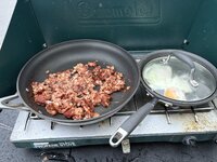 IMG_2381.jpeg