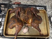 IMG_3122.jpeg