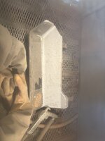 IMG_2709.jpeg