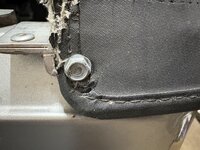 IMG_2900.jpeg